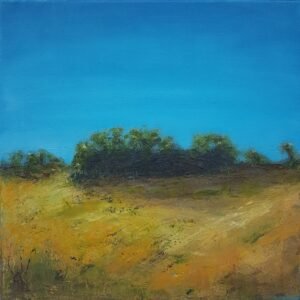 lesleycox gorse