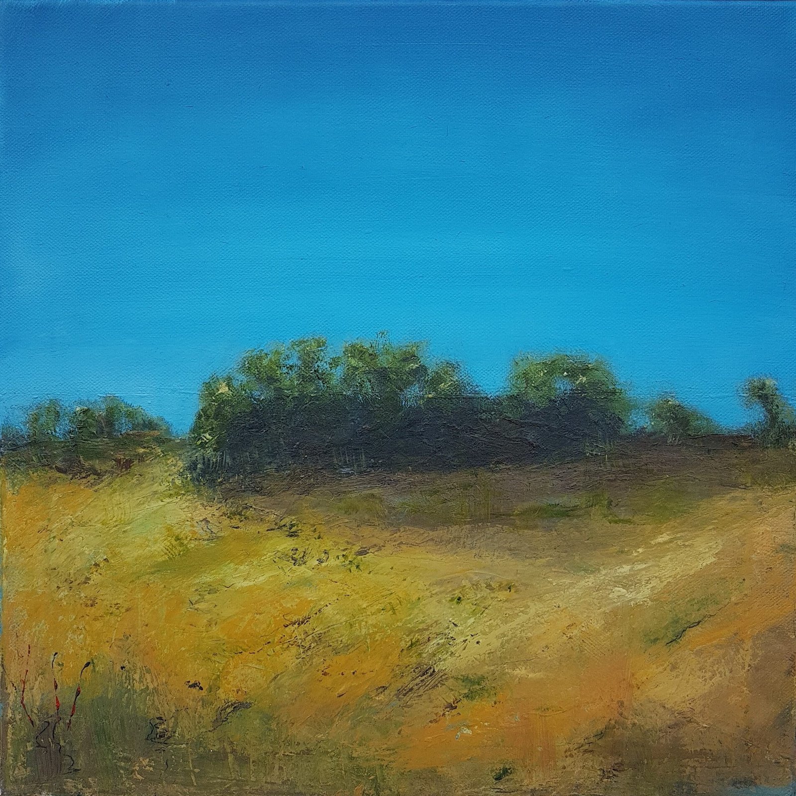 lesleycox gorse lesleycox gorse